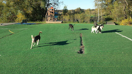 Plymouth Dog Park