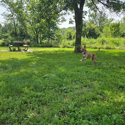 Spring Lake Dog Park