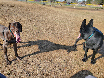 Alpine Dog Park
