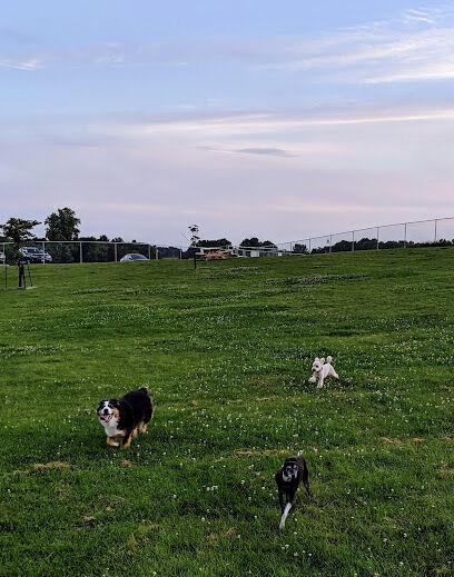 River Road Dog Park