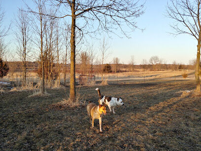Lake Sarah Dog Park