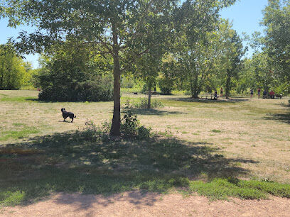 Crow Hassan Dog Park
