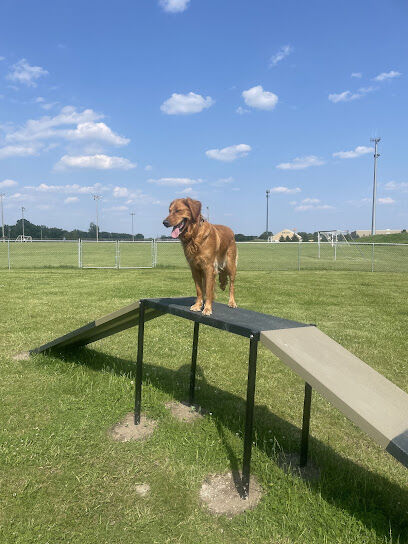 Lynch Dog Park