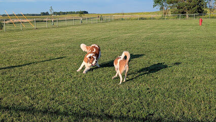Roseau Dog Park