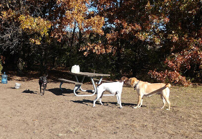 Southbridge Community Dog Park