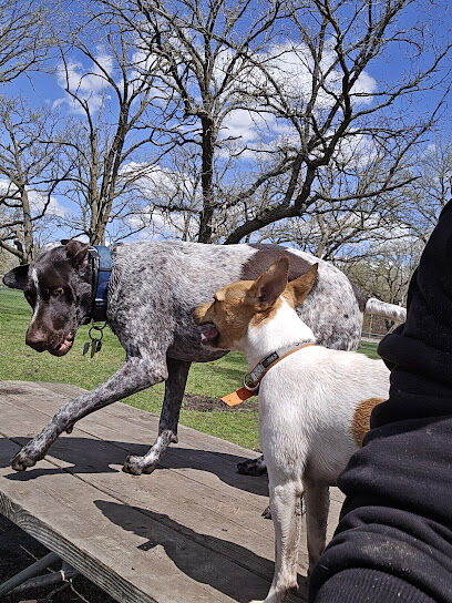Wilson Park, Dog park