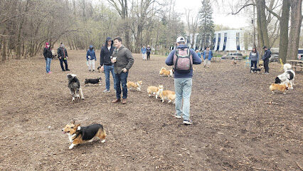 Arlington/Arkwright Off Leash Dog Park