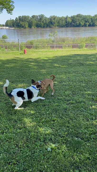 Water Street Dog Park