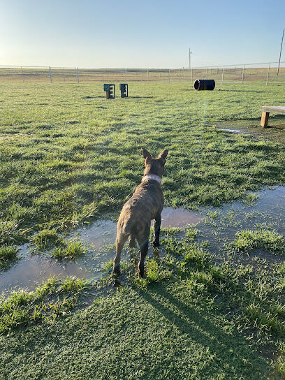 Dog Park