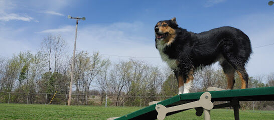 FLW Paw Dog park