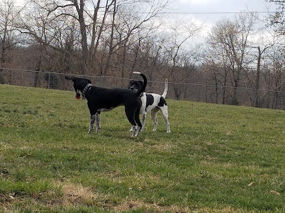 Fulton Dog Park