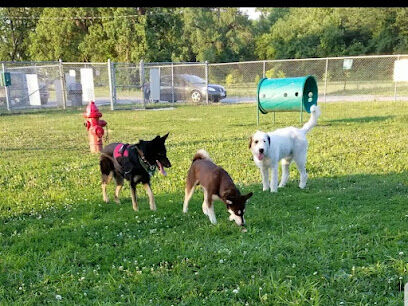 Dempsey Dog Park