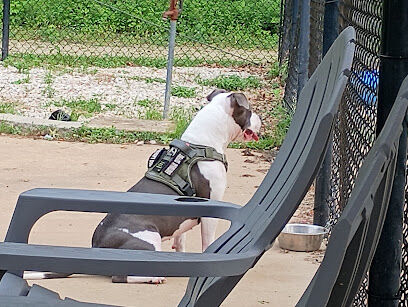 Herculaneum Dog Park