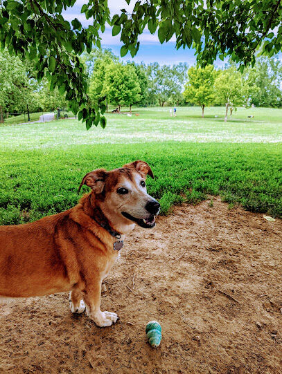 Penn Valley Off Leash Dog Park