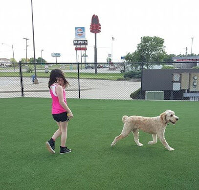 FastLane Pup Park