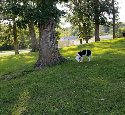McKinney Bark Park
