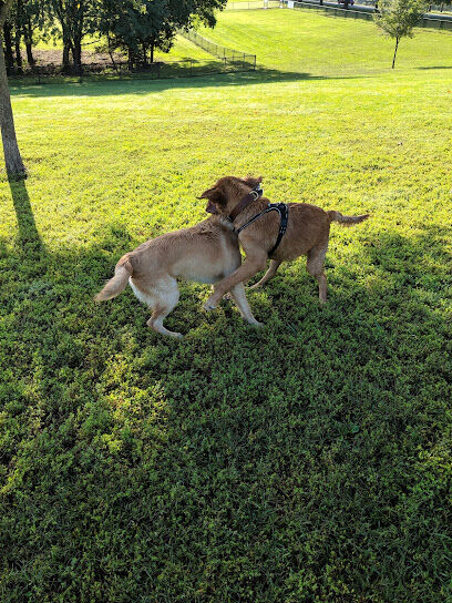 Liberty Dog Park