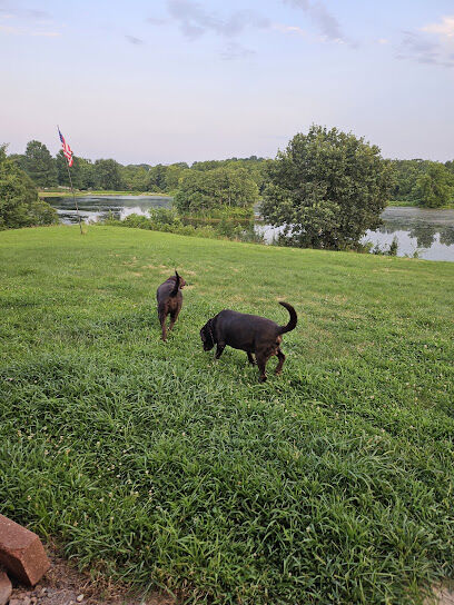 Mulvaney Ponds