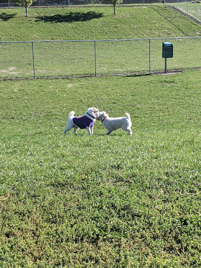 Marshall Dog Park