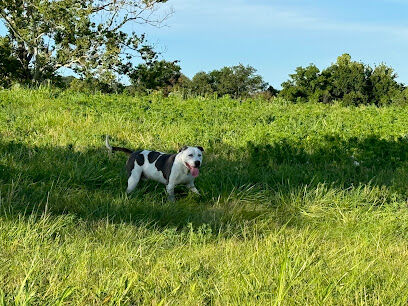 Iron Nail Ranch SniffSpot