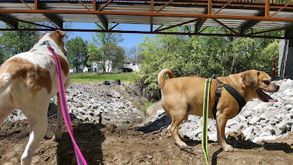 Dogport Dog Park