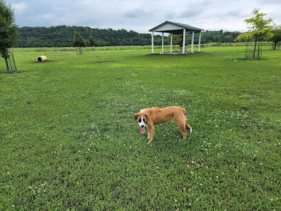Platte Landing Park Dog Park