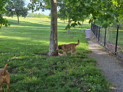 E. H. Young Riverfront Park Off-Leash Dog Park