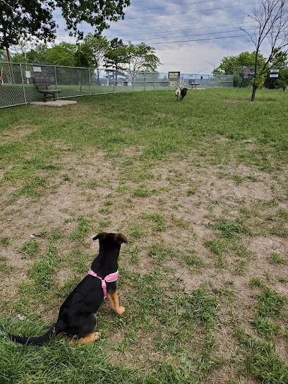 Rolla Dog Park