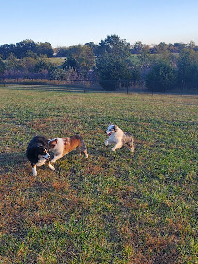 Smithville Lake Dog Park
