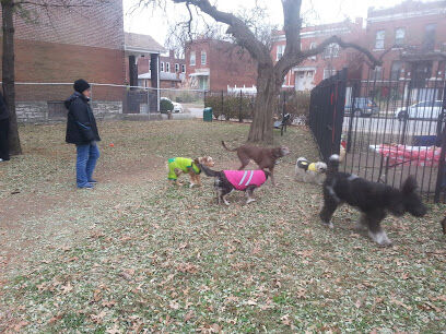 Cherokee Dog Park