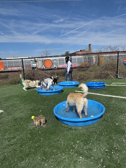 K9 Garden