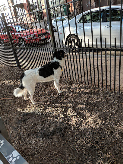 Lucas Dog Park (membership only)