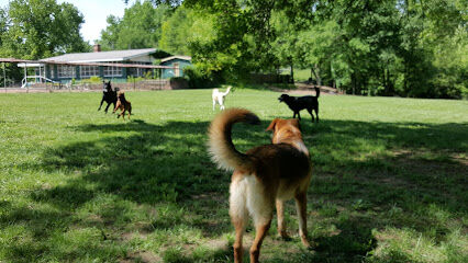 Treecourt Unleashed Dog Adventure Park | Dog Park | (Registration Required)