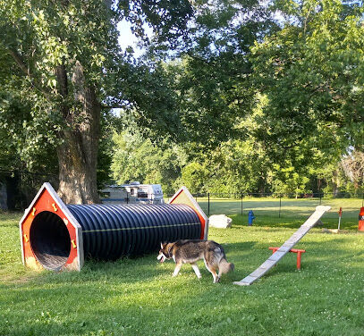 Public Dog Park