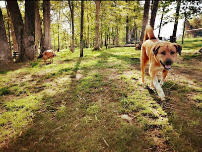 Warrenton Dog Park