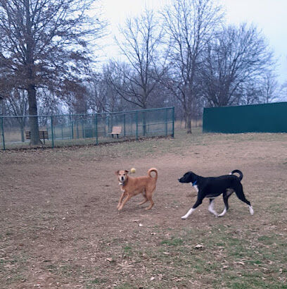 Quail Ridge Dog Park