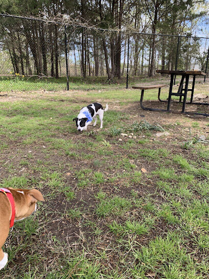 Pavilion Dog Park