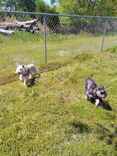Bark Park
