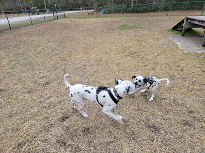 Shepard Park Bark Park