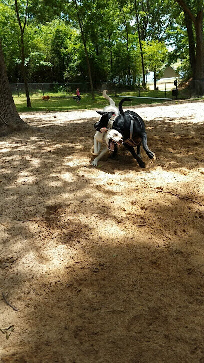 Olive Bark Dog Park