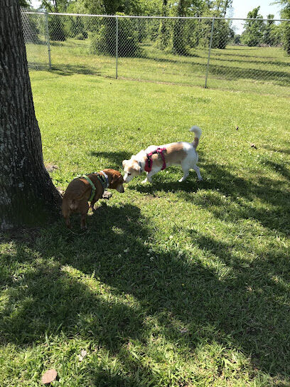The Petal Dog Park