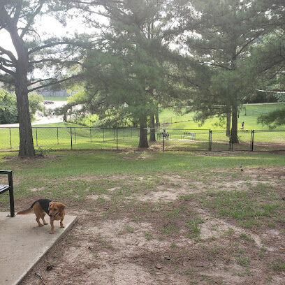 Dog Park at The Rez