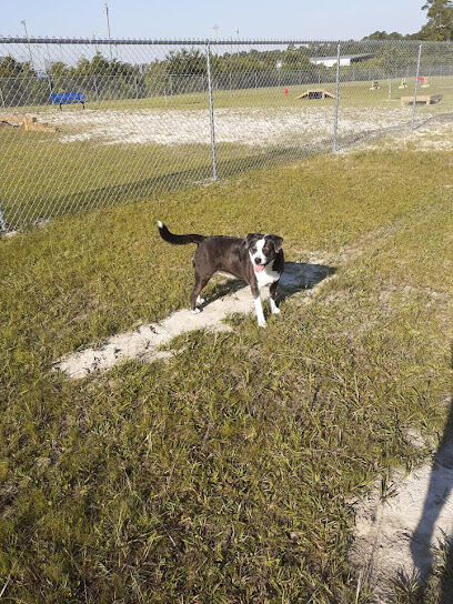 Vancleave Dog Park