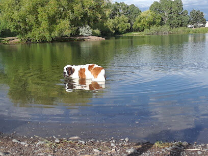 Canine Beach at Bozeman Pond