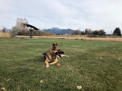 Lewis and Bark Dog Park