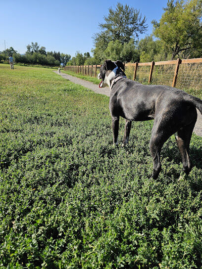 Story Mill Dog Park