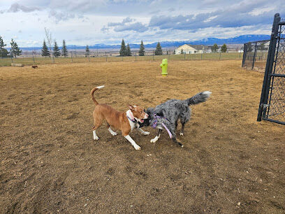 Dog park