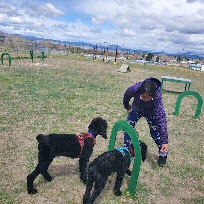 Paws Park
