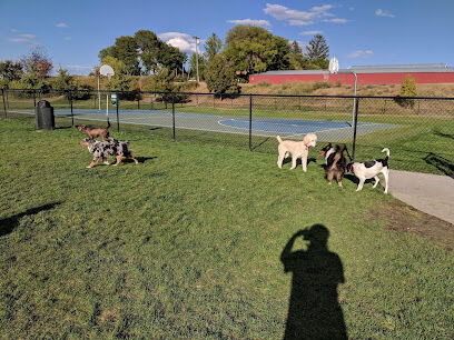 Paws to Play Dog Park
