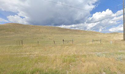 State land dog walk